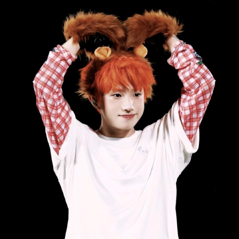 三角形具有什么性