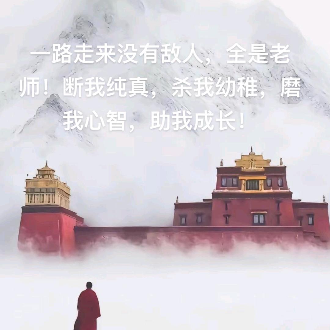 赚点买菜钱