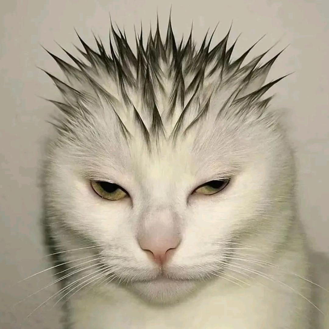 全