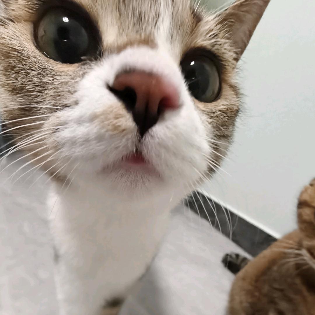 慢慢慢慢没有感觉