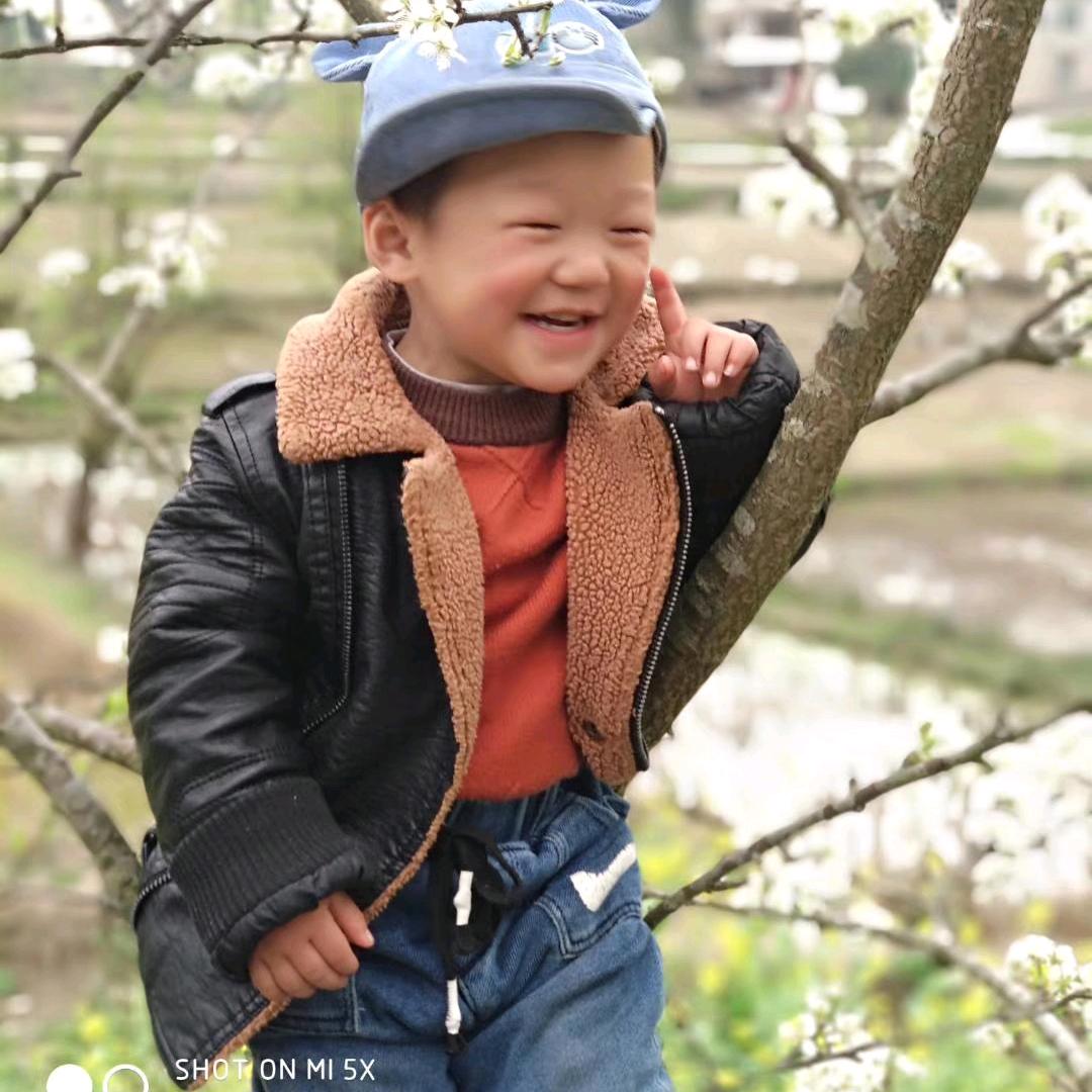 木工吊顶（返乡阿木）