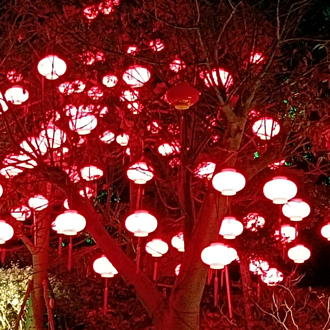 淡空