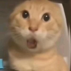 人机小哈随机刷新