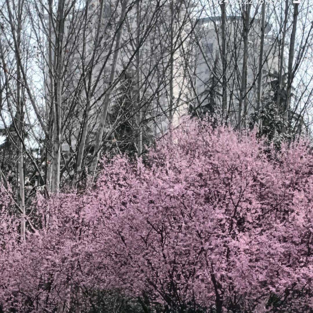 微笑*（晚8:30）