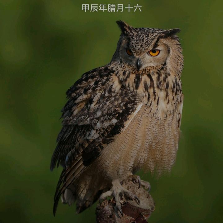 350