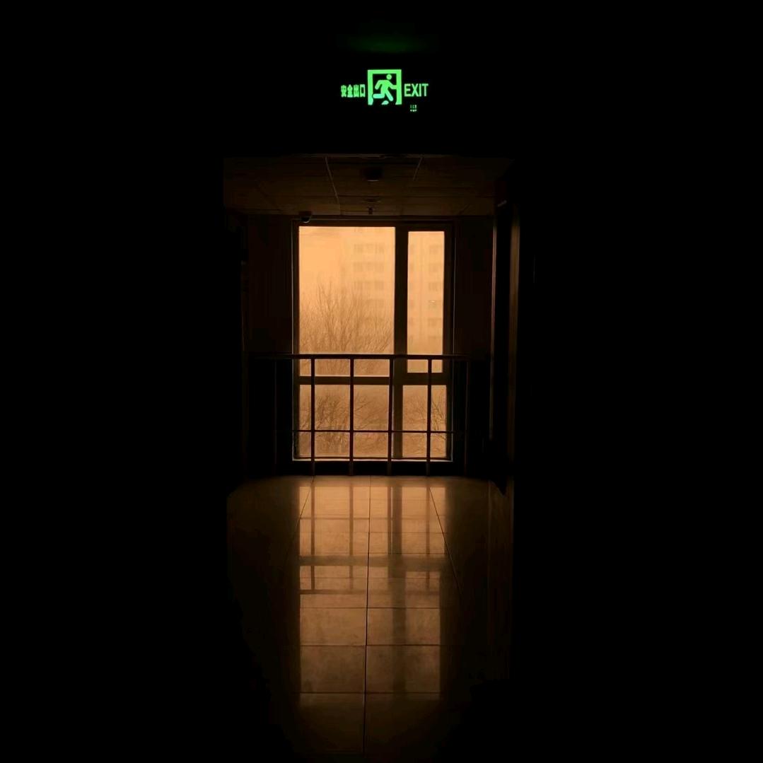 北境芒果