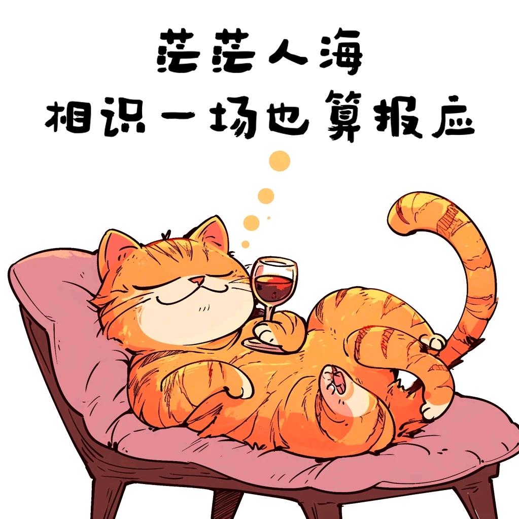 飞哥