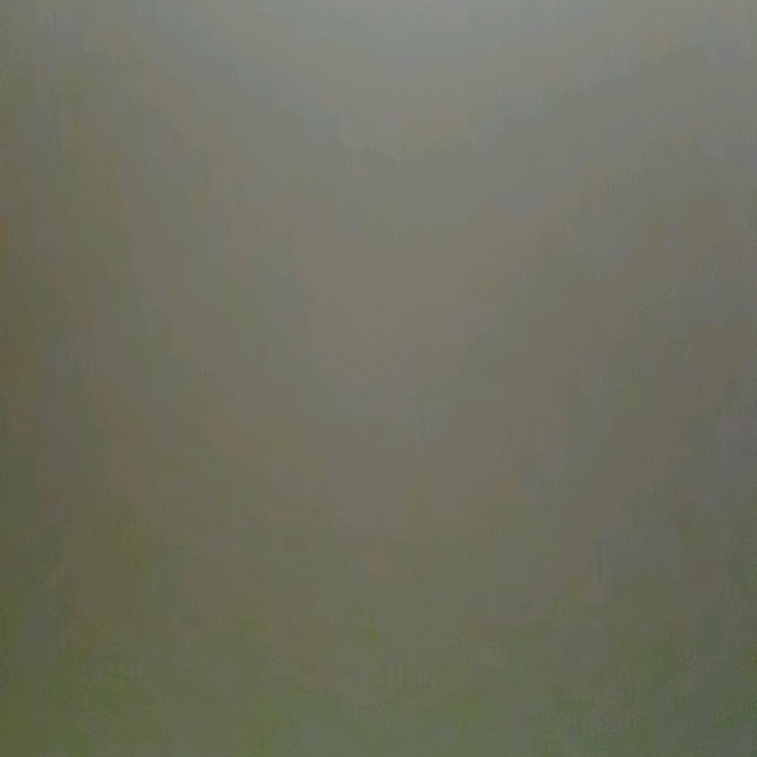 苜蓿