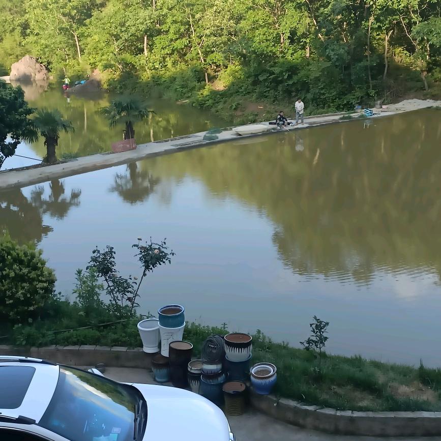 五星渔坝休闲钓鱼场，