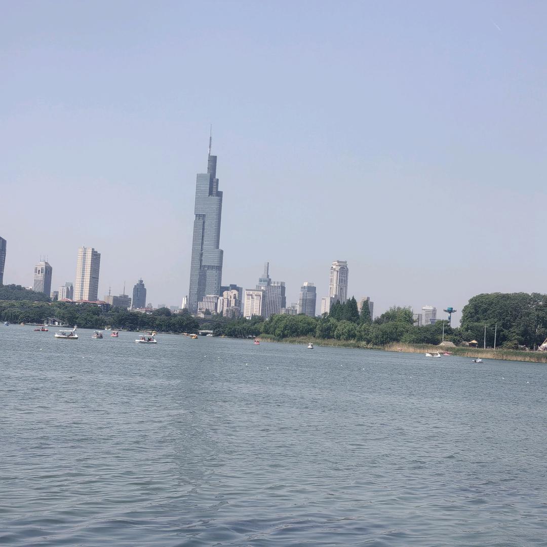 戴