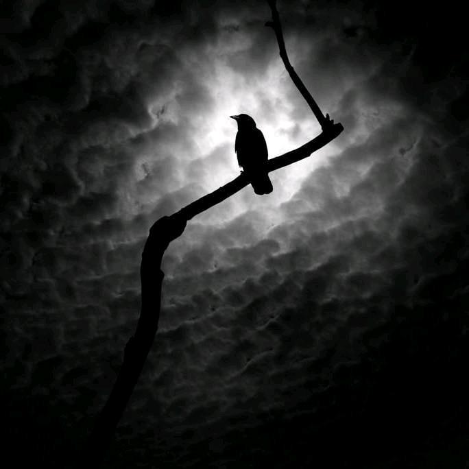 ༺༃看热闹不嫌事大ℳ༃༻