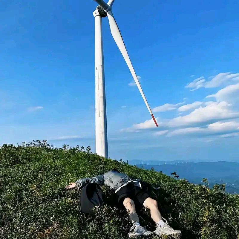 程