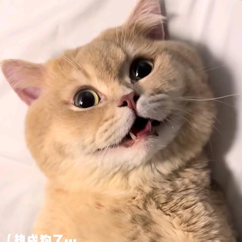 美好的一天天