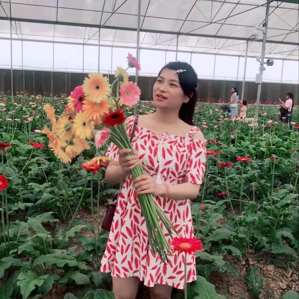 张等等