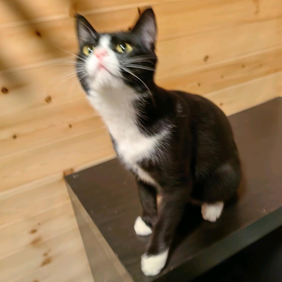 滕百万【全品工厂】