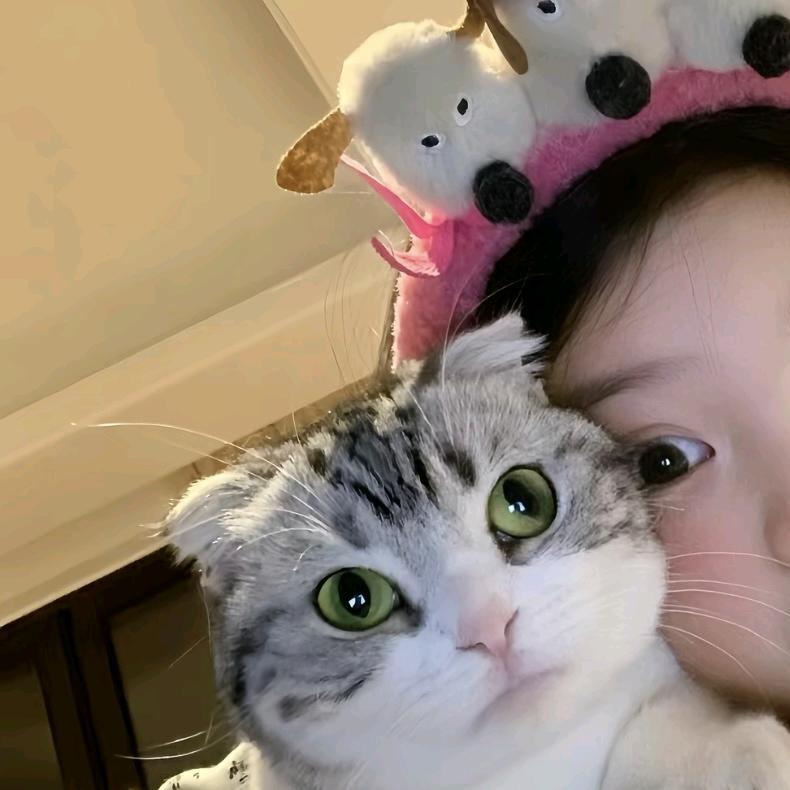 常春藤