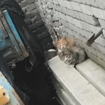 搞定