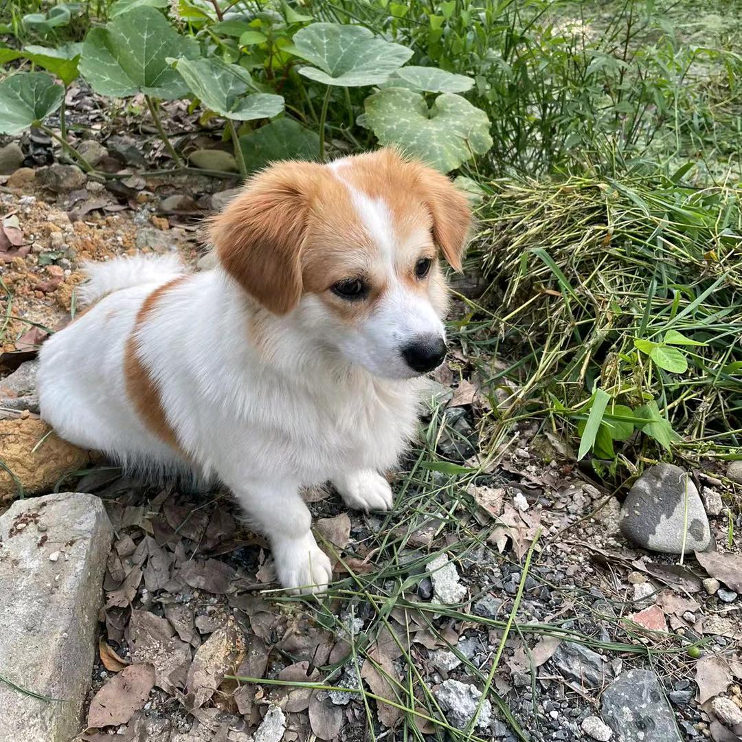 汝城县亦乔信息咨询部