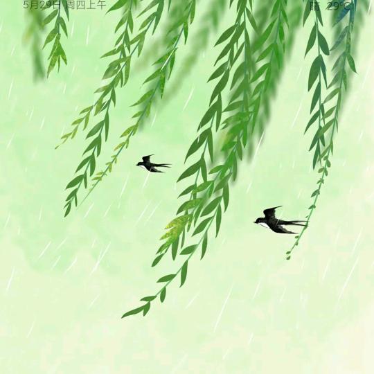 山上有树