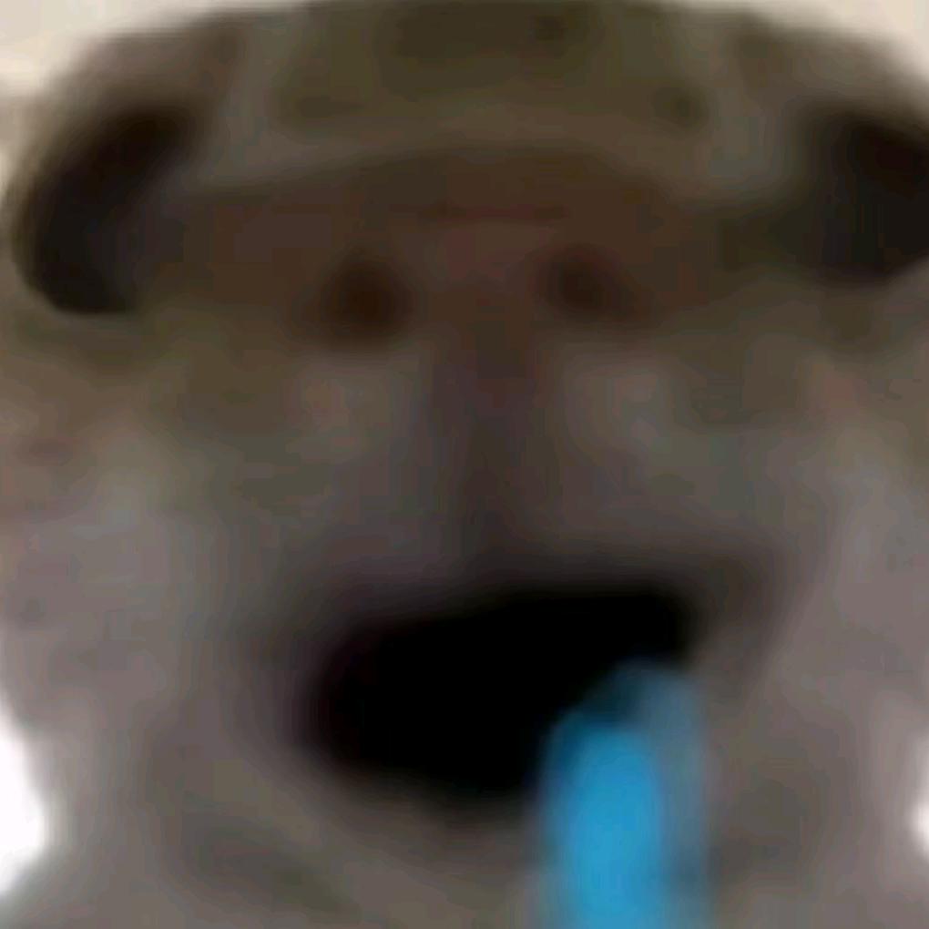 布鲁斯小主（三角洲行动）