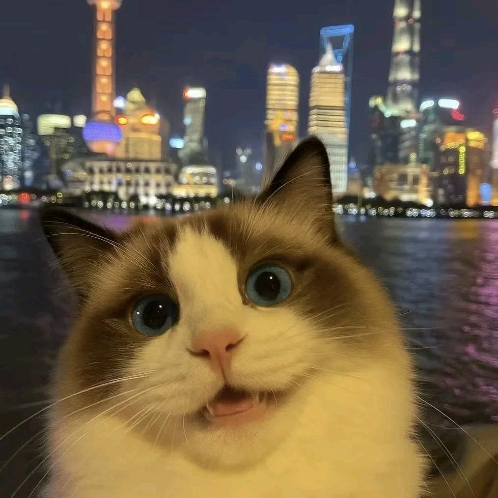 小森饱饱（接排位巅峰）