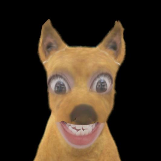 一天睡十二小时