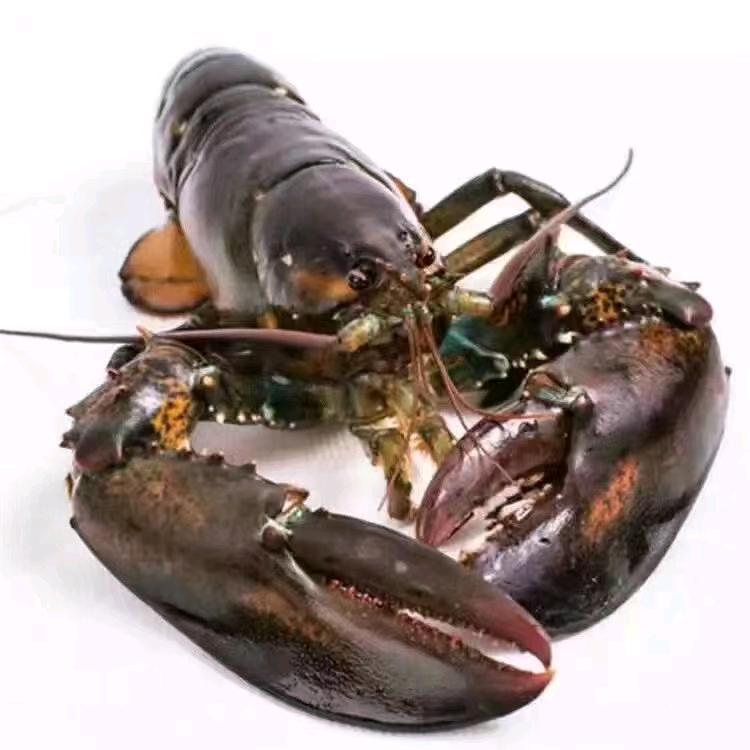 小辛海鲜