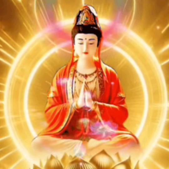 王总(九串红妙鸡)