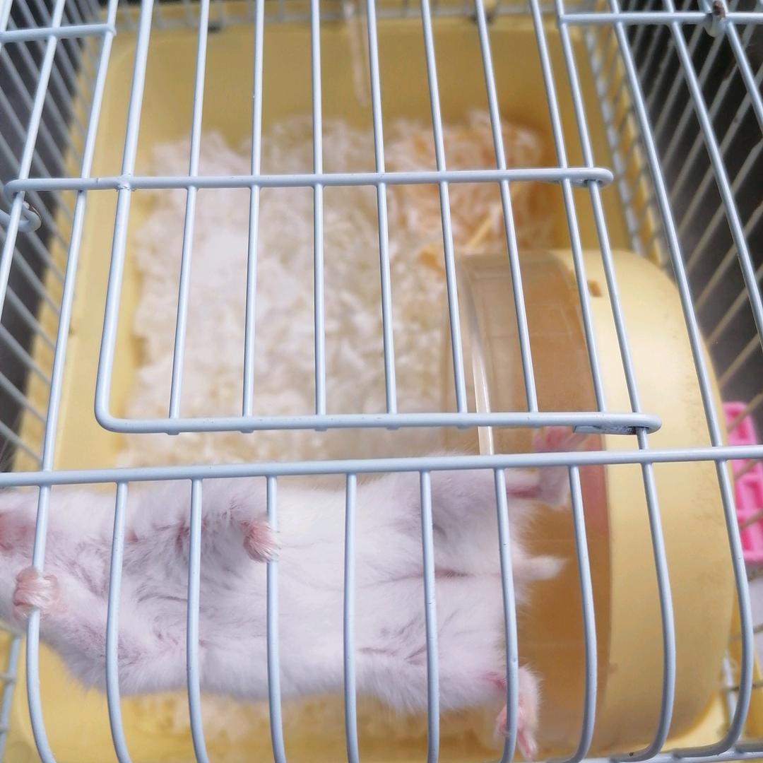 思念i永远不忘