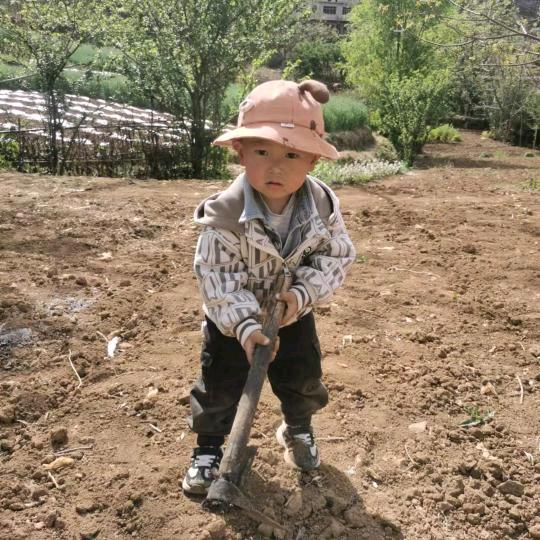 我的快乐还是想你？