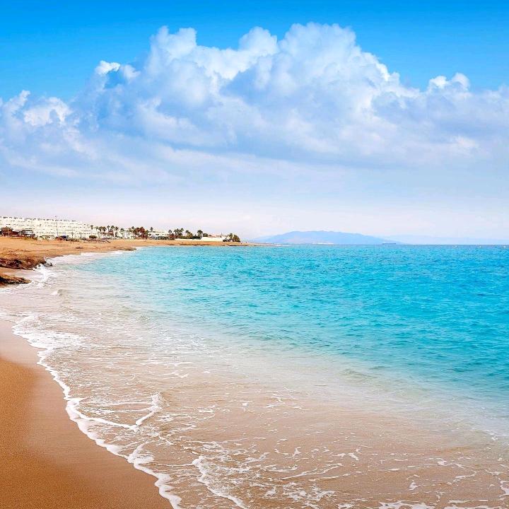 大虎（德行天下）