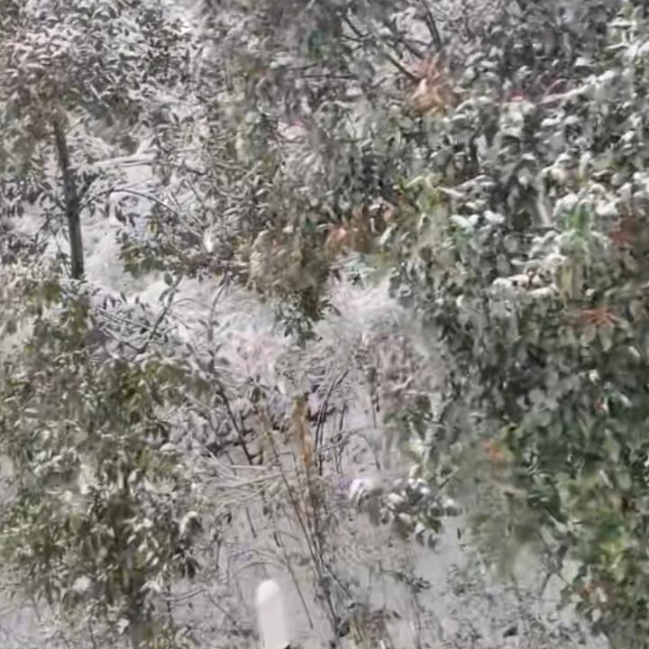 封尘
