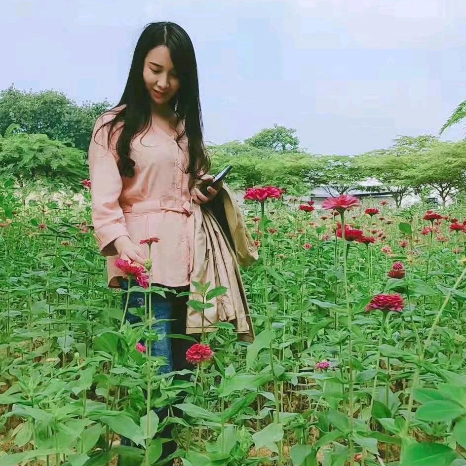 ꧁꫞雲朵꫞꧂