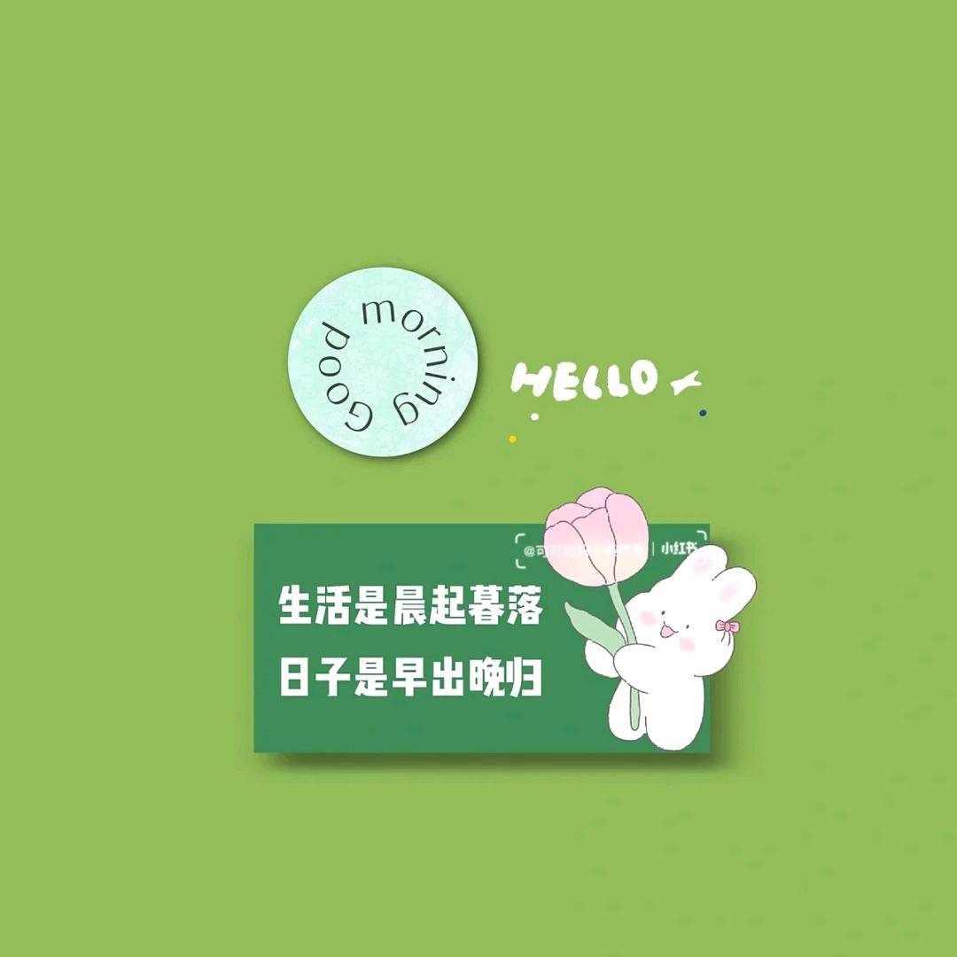 凤阳室内设计周啊