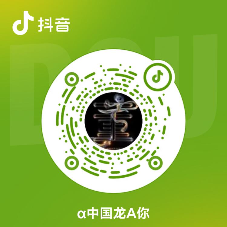 α中国龙A你们