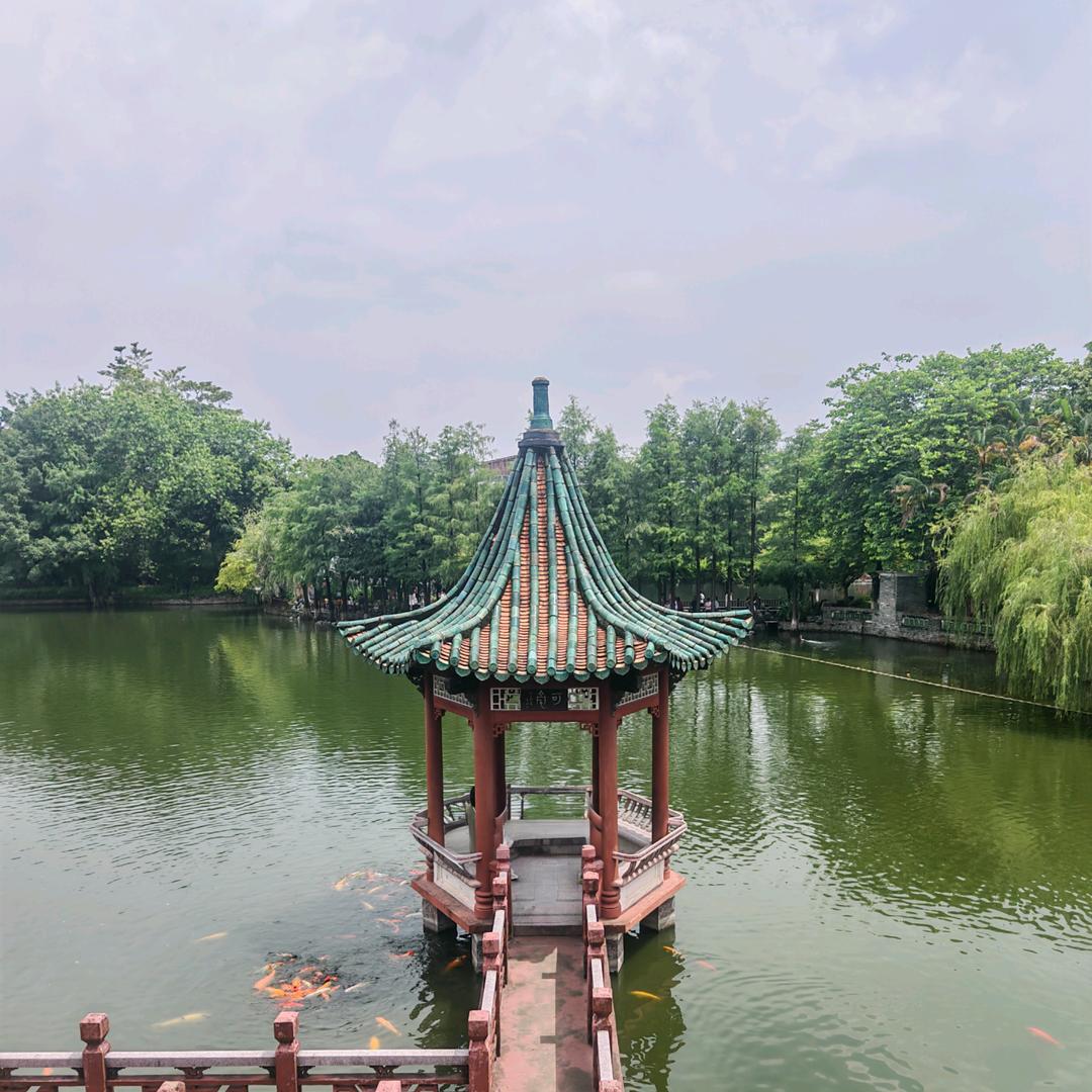 那年是哪年