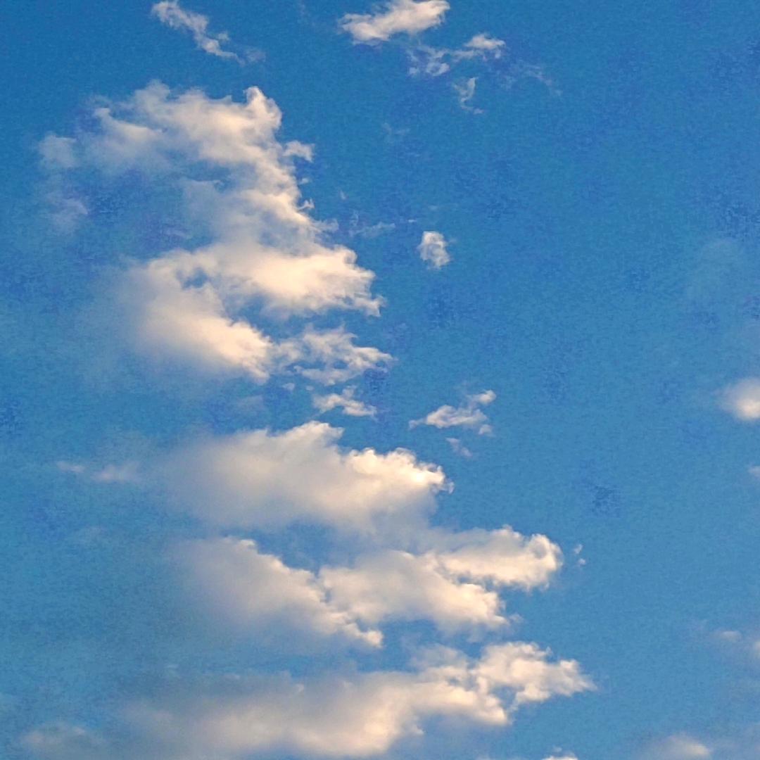 好了伤疤忘了疼