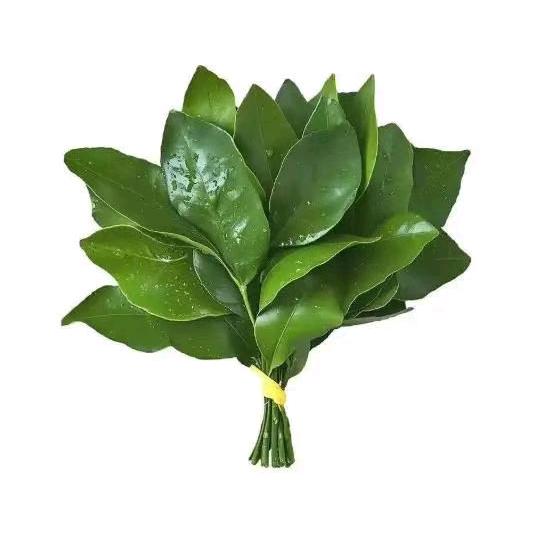 钞票公主👸🏻