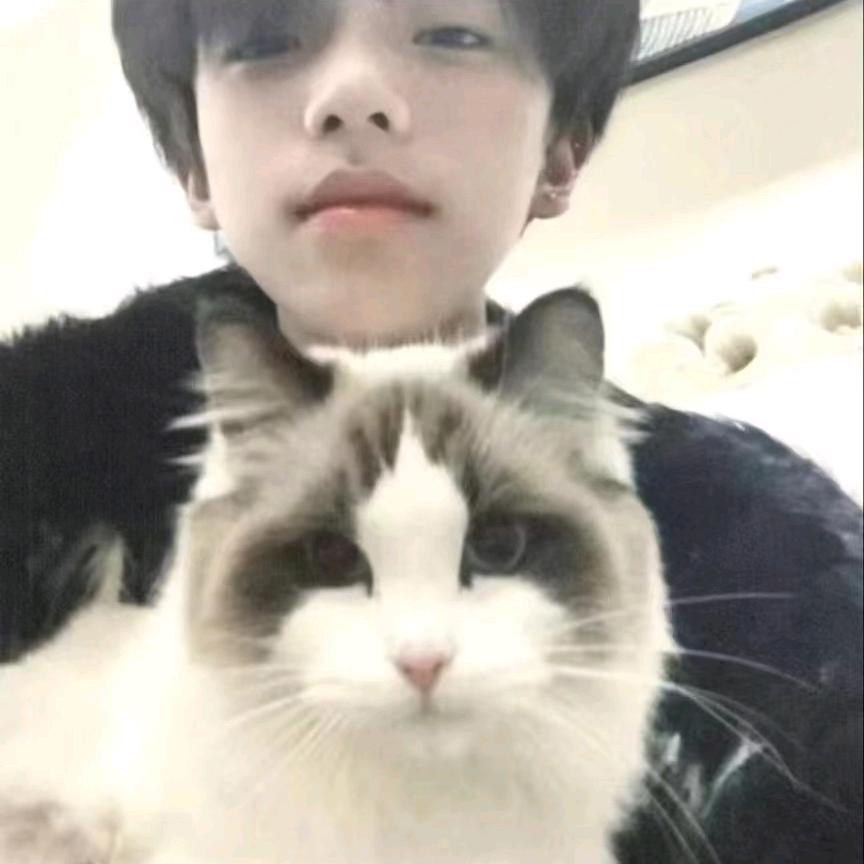 随心❤锁🔒欲