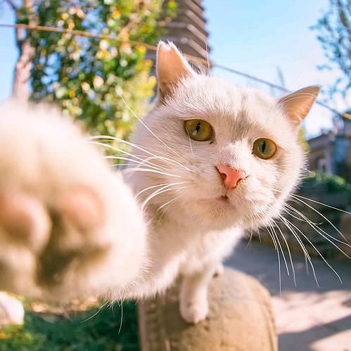 黄先森 无人深空