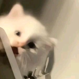 我想吃薯片.◍⁰ᯅ⁰◍