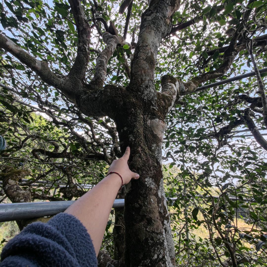 沧沧臻选数码