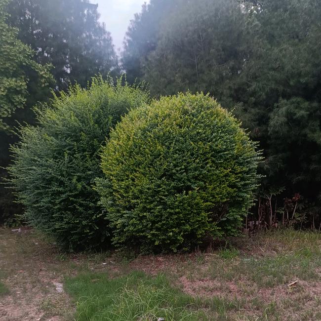 369