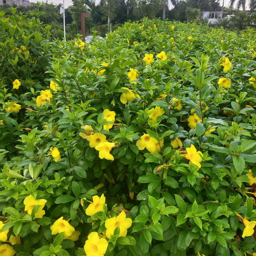 💋开心过好每一天