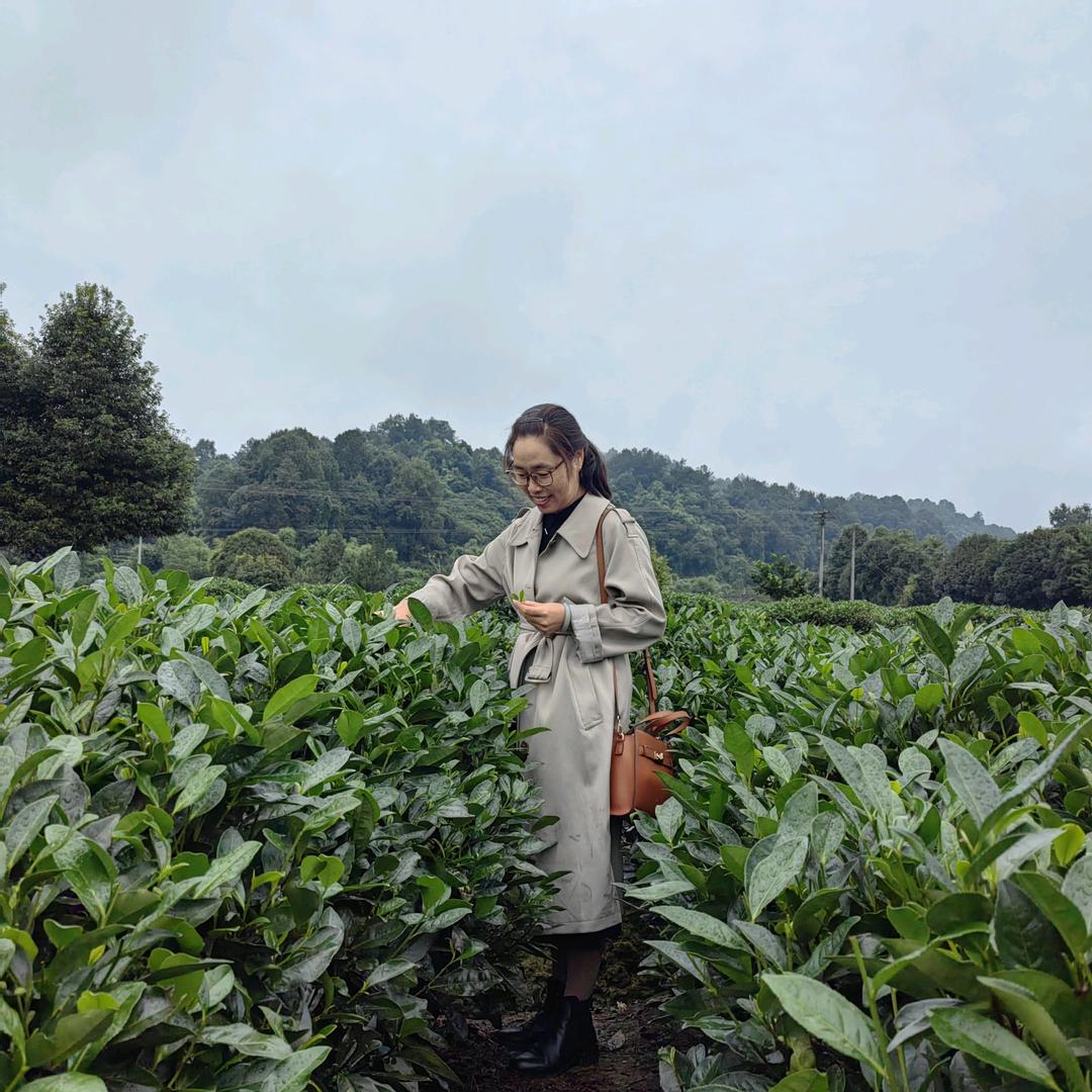 逍遥158
