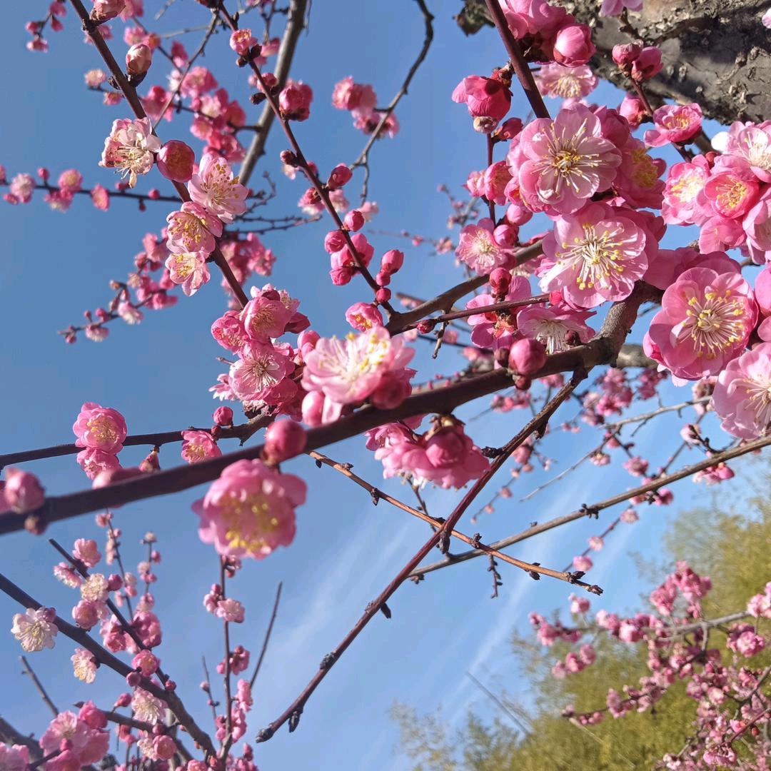 🥀এ᭄不必 ꦿ谁💔懂我ོ࿐ᩚ