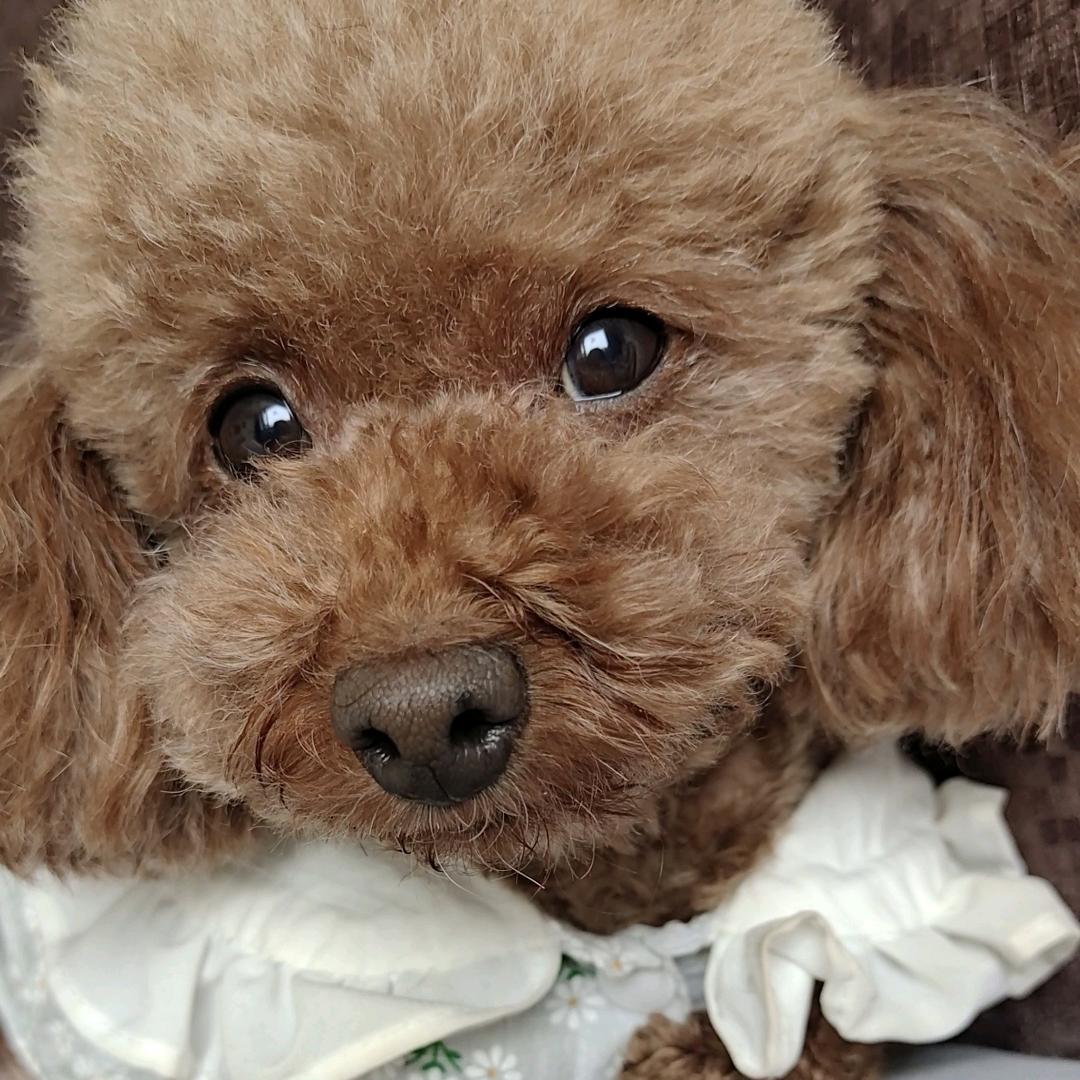 ❤️我嘟和我点❤️