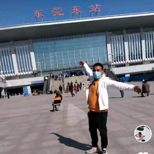 北方波哥