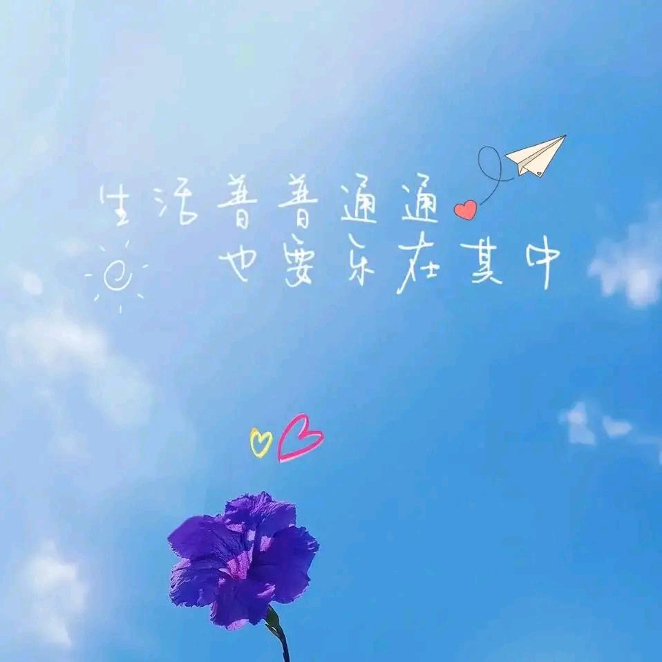 农村香姐