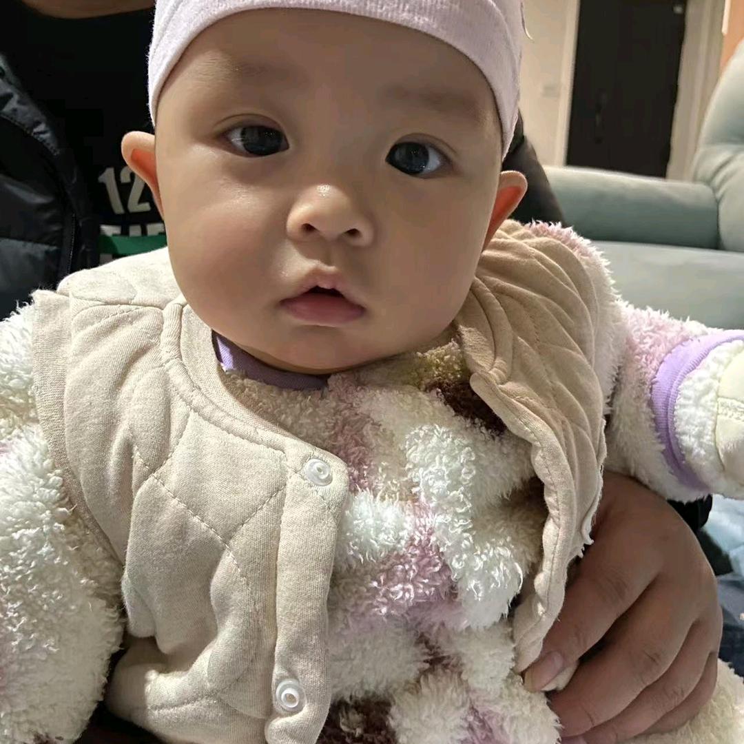 小燕子